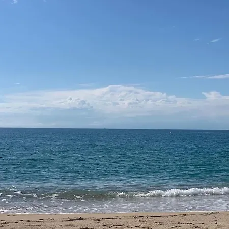 Apartment Penthouse 100m From Sea With Terrace, Near Bcn