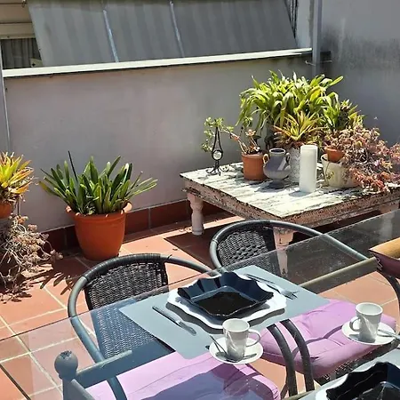 Penthouse 100m From Sea With Terrace, Near Bcn